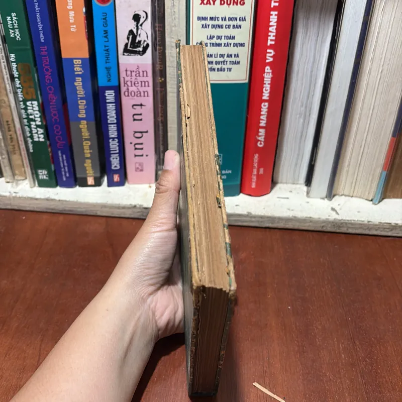 II Sách Phật Giáo: Con Đường Chuyển Hoá - Kinh Bốn Lĩnh Vực Quán Niệm (Dịch Và Chú Giải) 755401