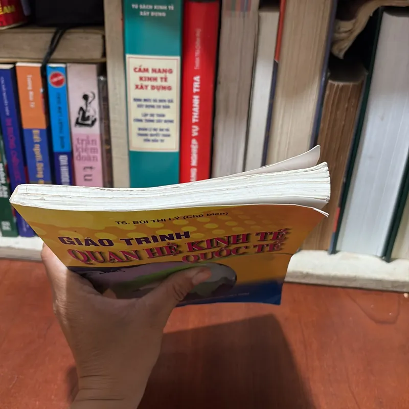 II Sách Kinh Tế: Giáo Trình Kinh Tế Quốc Tế - TS. Bùi Thị Lý - 2009 763215