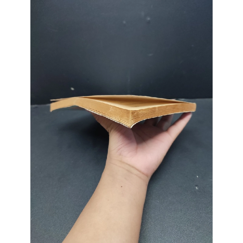 Văn học Việt Nam nửa cuối thế kỉ XVIII đầu thế kỉ XĨ mới 60% ố nặng 1999 HCM1406 Đặng Thanh Lê - Hoàng Hữu Yên - Phạm Luận SÁCH VĂN HỌC Oreka-Blogmeo 165728