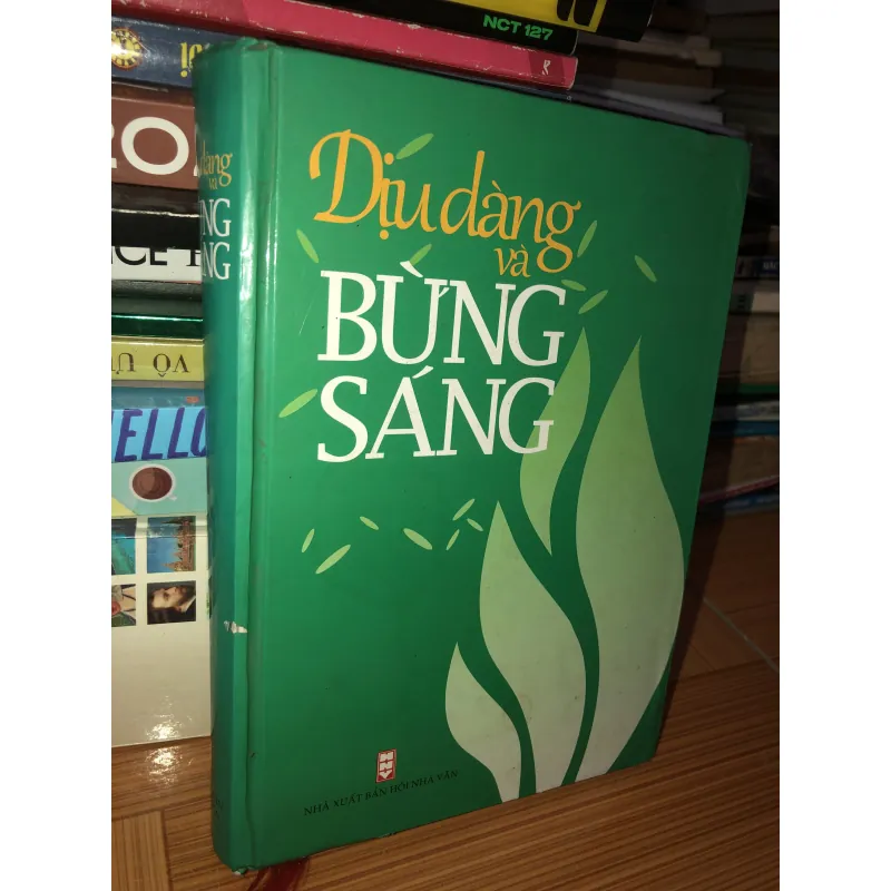 Dịu dàng và bừng sáng  1000764