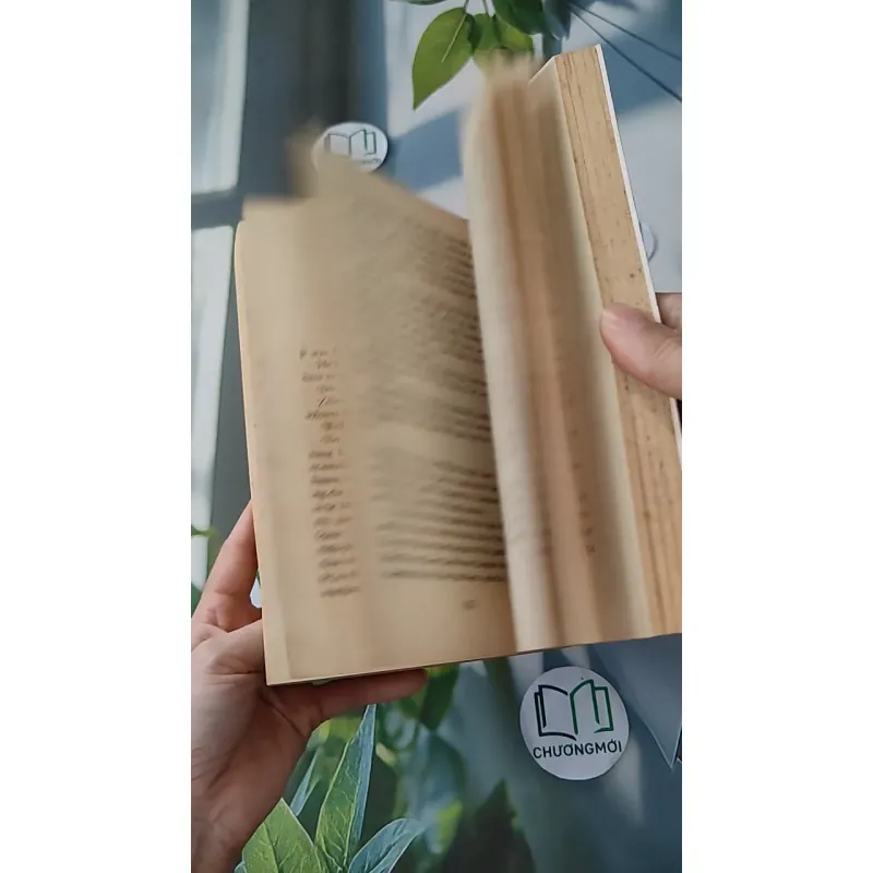 [MIỄN PHÍ BỌC SÁCH] The Morning Gift - Eva Ibbotson 1033594