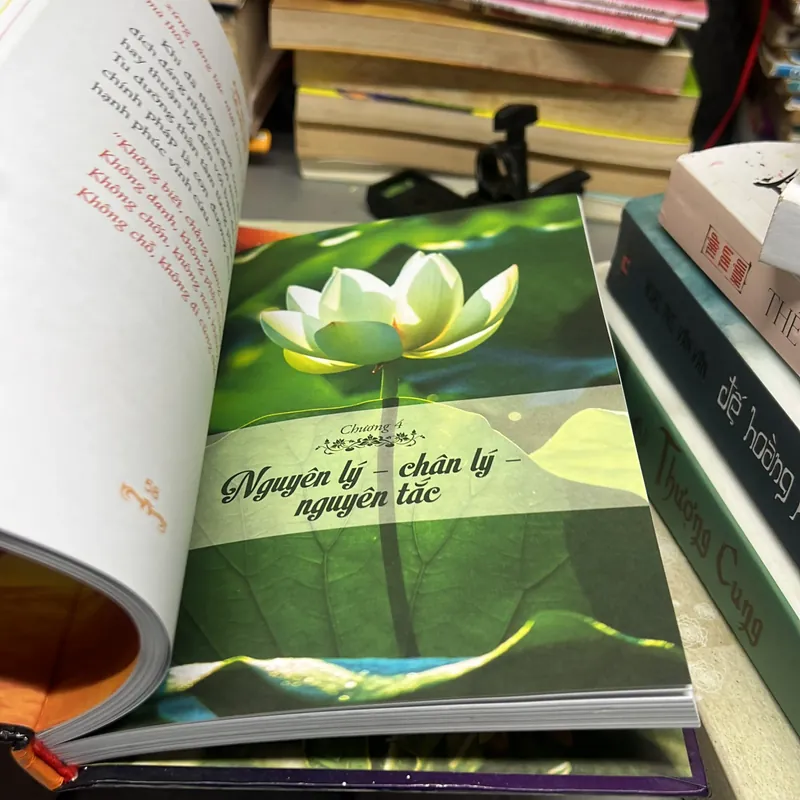 Cuốn Sách Vàng 607552