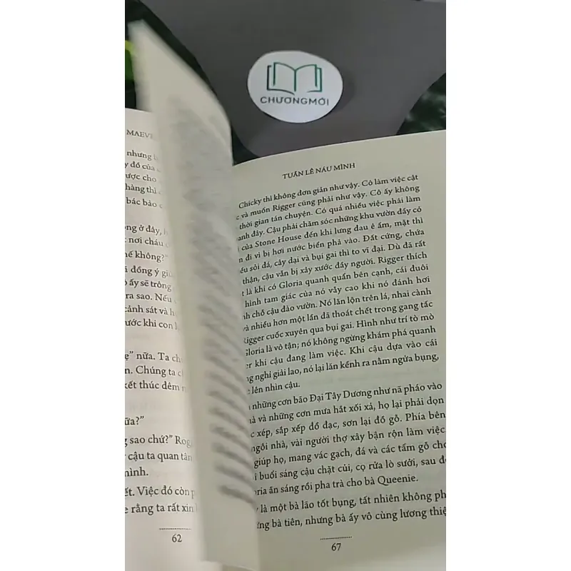 Tuần Lê Náu Mình (2017) - Maeve Binchy 604469