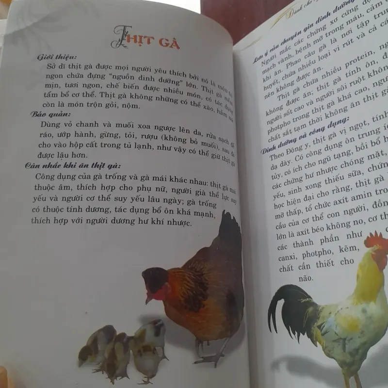 28 MÓN ĂN dành cho Người làm việc trí óc 713198