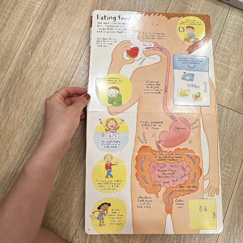 Combo sách Usborne về cơ thể người và atlas 304649