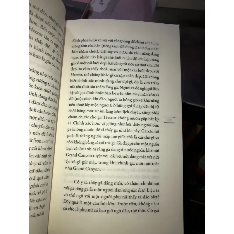 Chỉ tại vợ tôi gợi tình! - David Foenkinos 1021766