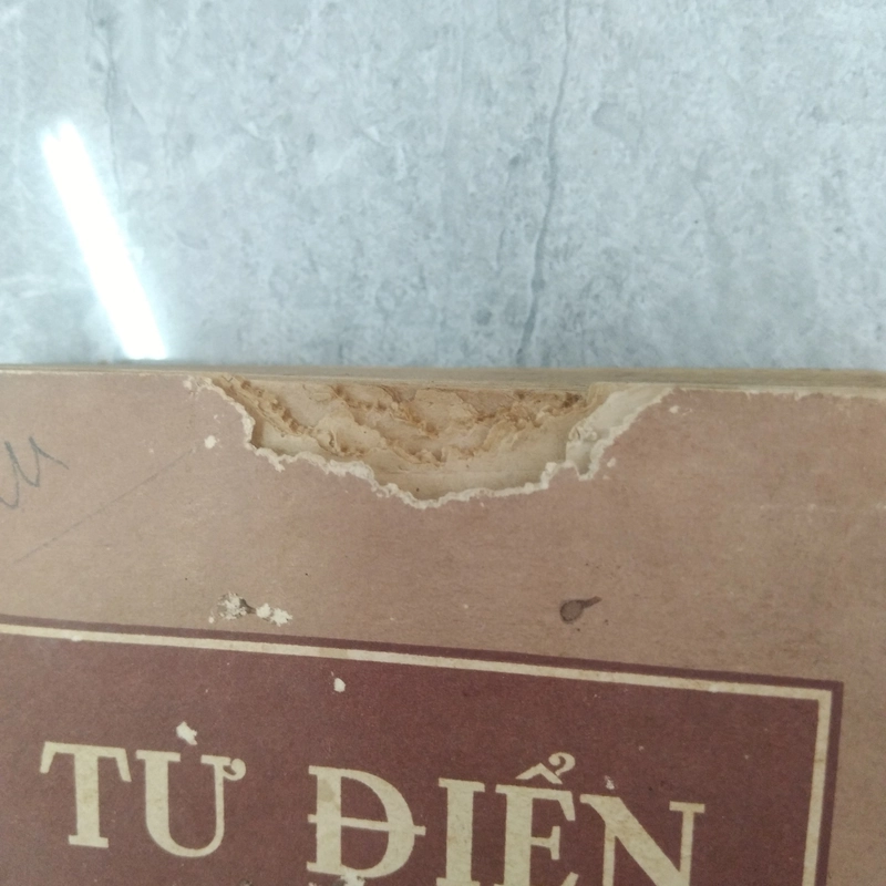 Từ Điển Kinh Tế 526008