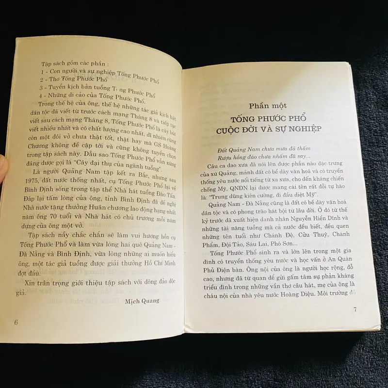 Cây đại thụ tuồng Tống Phước Phổ  728119