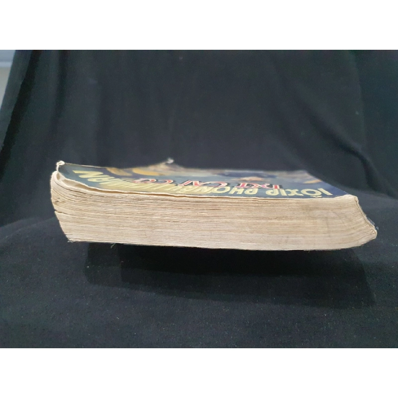 NỮ TÀI TỬ MỚI 50% 2003 -HCM205 LOOXIP PHOWNAY LICHMAN SÁCH VĂN HỌC 923375