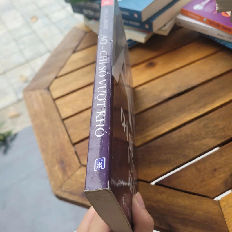 A-Q chỉ số vượt khó	Paul G.Stoltz 519152