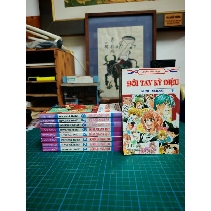 Truyện Tranh Đôi Tay Kỳ Diệu - Izumi Tsubaki 717578