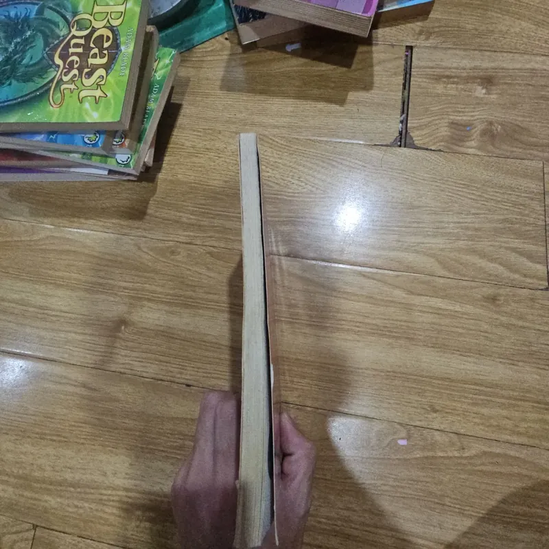 Beast Quest Gryph The Feathered Fiend Giá 20k  601778