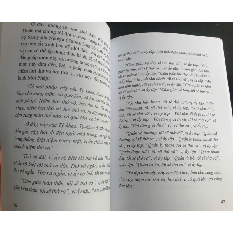 Hành Thiền - Thích Minh Châu 696873