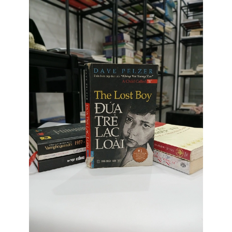 Đứa Trẻ Lạc Loài - Dave Pelzer 544514