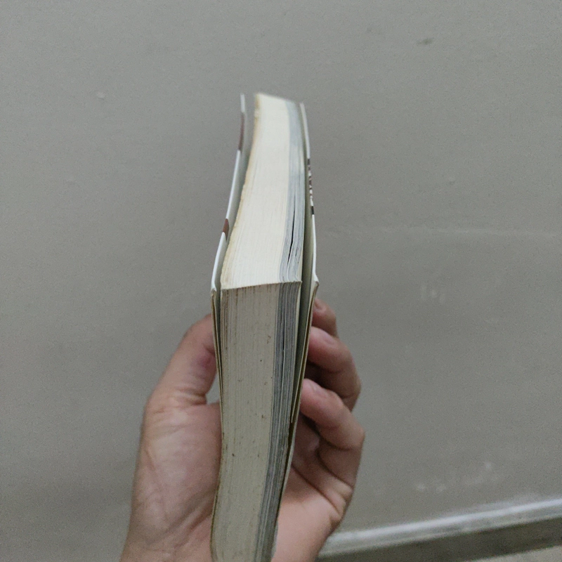 Gia Đình Bạn Bè Và Đất Nước - Hồi Ký - Nguyễn Thị Bình 521621