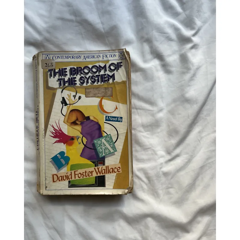 The Broom of the System - 790105