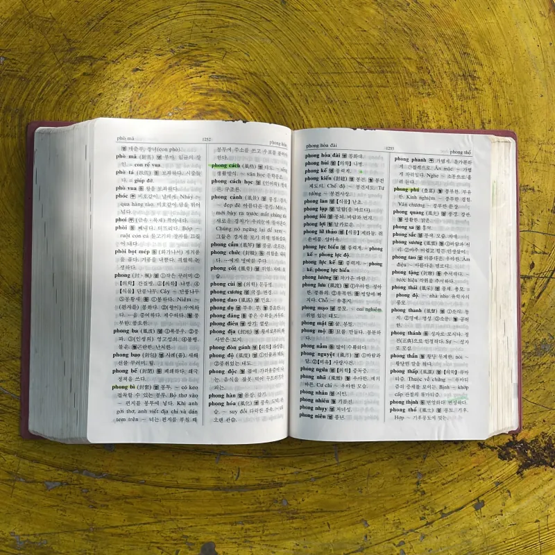 TỪ ĐIỂN VIỆT - HÀN 998146