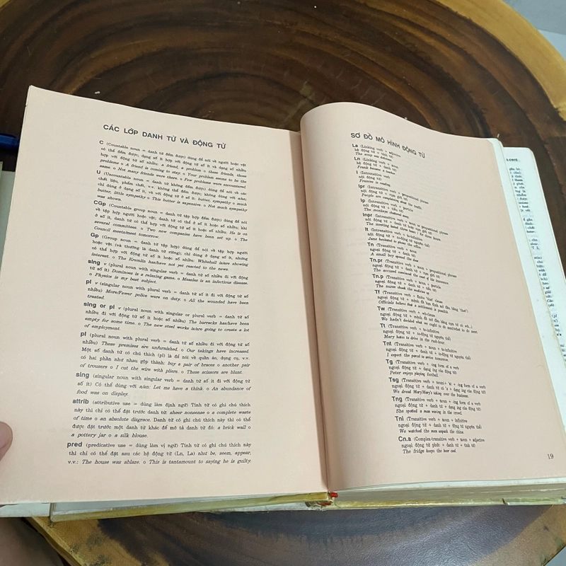 II Từ Điển Anh Việt - Viện Ngôn Ngữ Học - 1994 463239