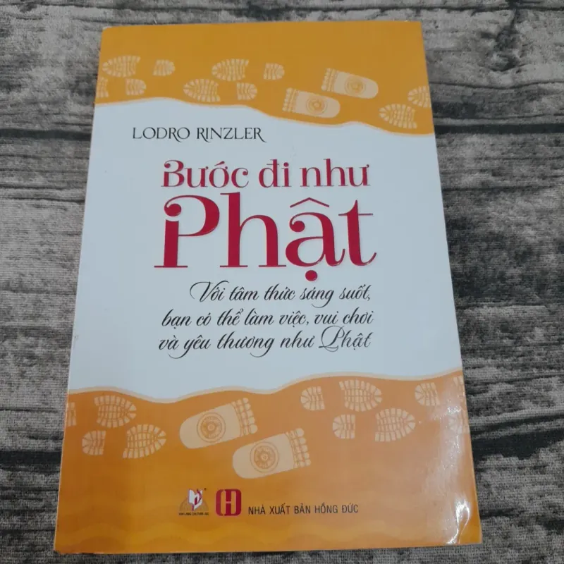 Sách Thiền Tâm - Bước đi như Phật. Tác giả Lodro Rinzler 756608