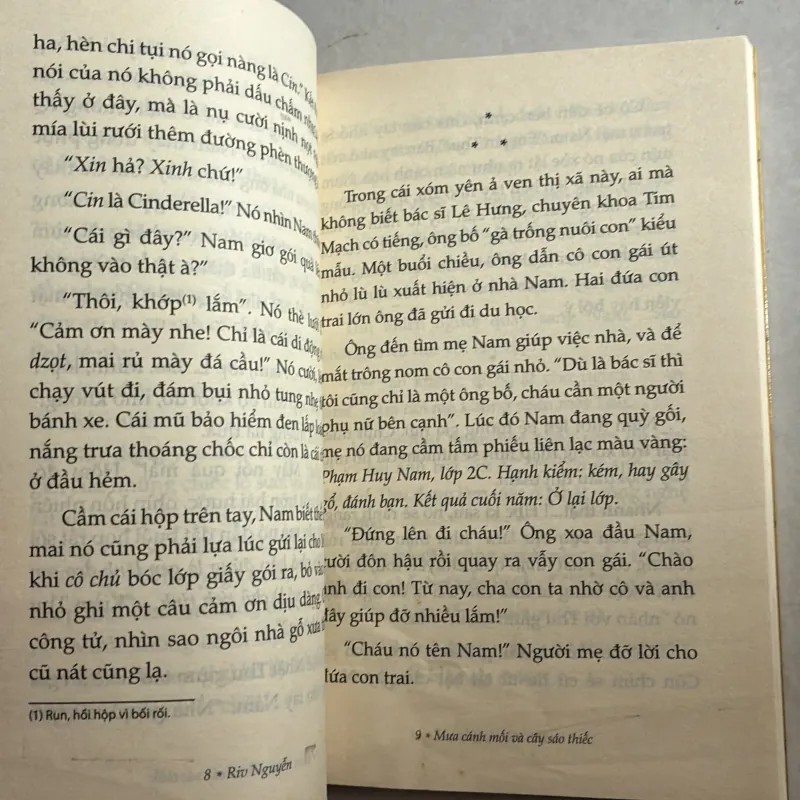 Mưa cánh mối và cây sáo thiếc - Riv Nguyễn 783555