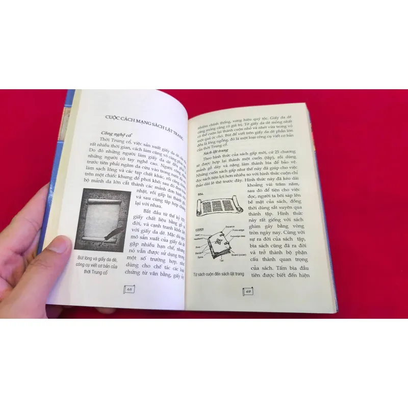 Lịch sử của sách 733673