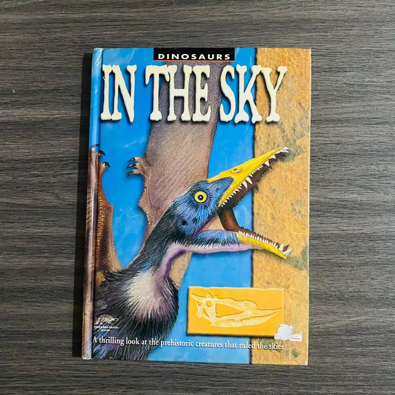 Dinosaurs In the sky ( khủng long bay trên trời)  564494