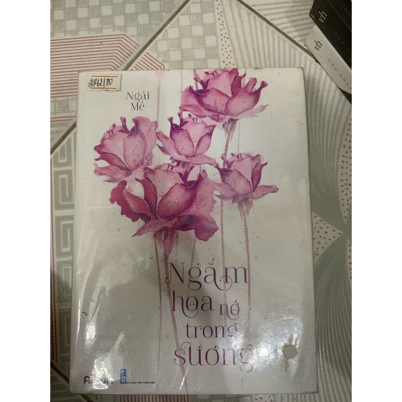 Ngắm hoa nở trong sương 114240
