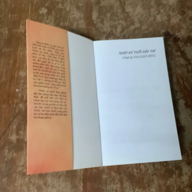 NHẬT KÝ TUỔI DẬY THÌ một cô bé vô danh 755241