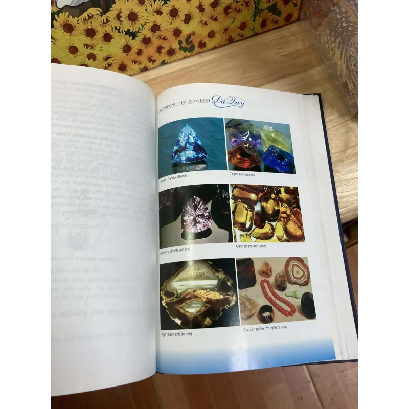 Các Phương Pháp Giám Định Đá Quý - Nguyễn Ngọc Khôi 933894