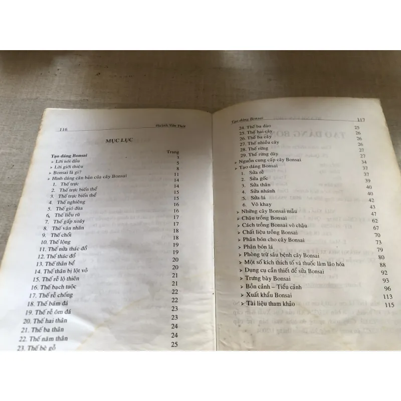 Tạo dáng bonsai 780635