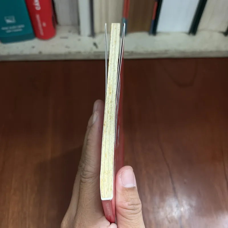 II Tựa Sách: Tự Thú Của Bà Mẹ Mê Bóng Đá - Yudin Nguyễn Bích Trâm - 2018 716763