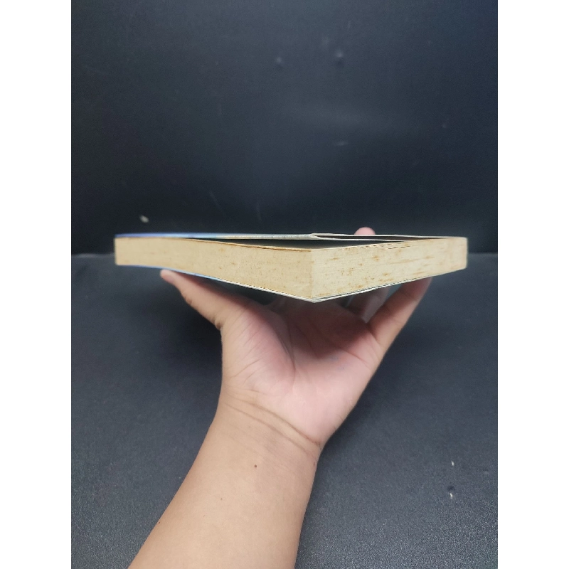 Làm như chơi mới 80% ố vàng 2016 HCM1406 Minh Niệm SÁCH KỸ NĂNG 915415