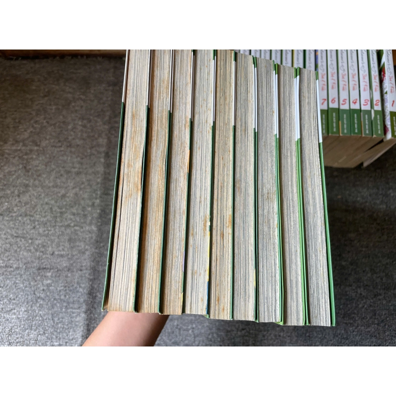 Truyện Natsume Book of friend - Trọn bộ 23 tập - NXB Trẻ 276656