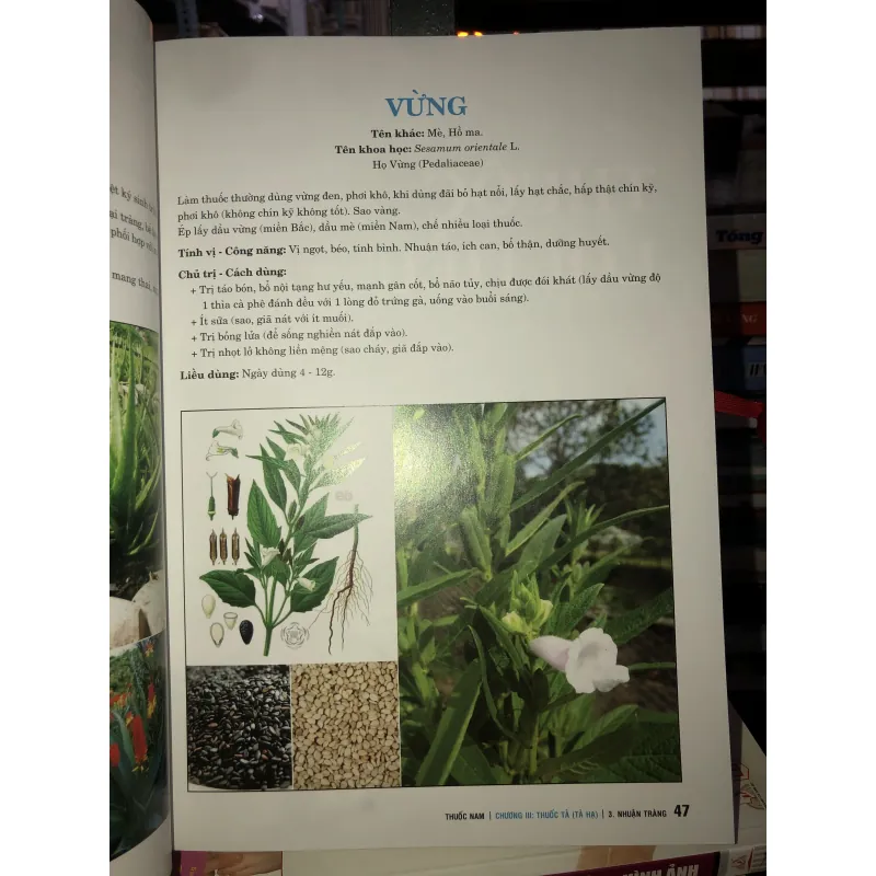 Thuốc Nam - Lương y Nguyễn Công Đức 763835