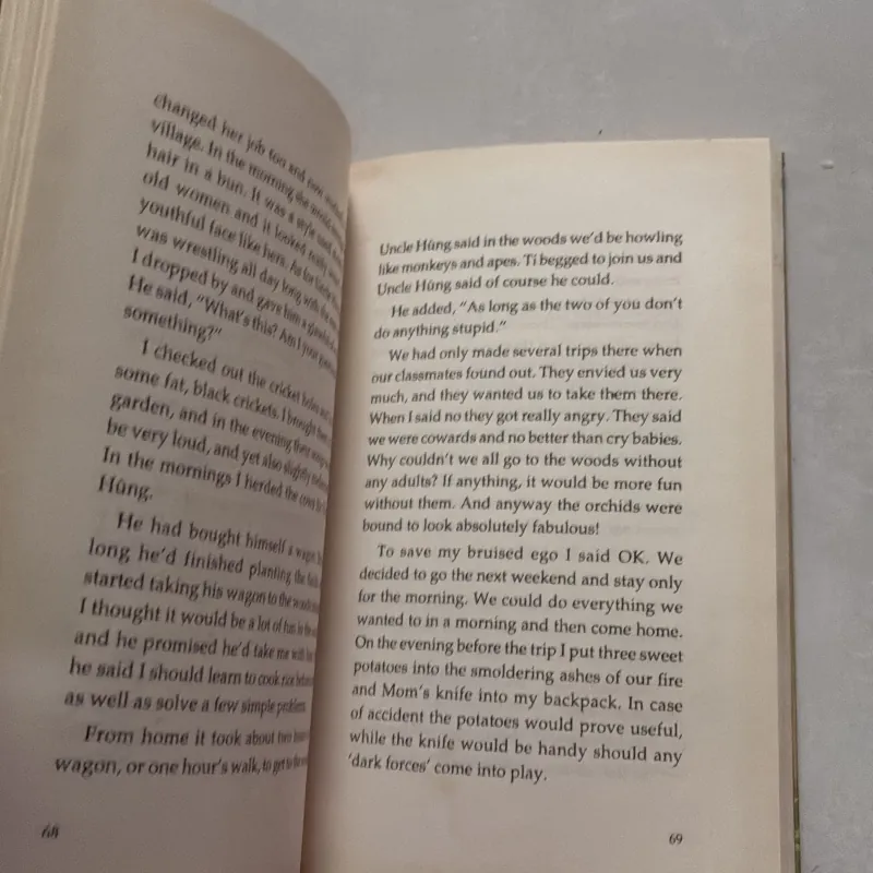 Open the window, eyes closed - Nguyễn Ngọc Thuần (t01) 750628