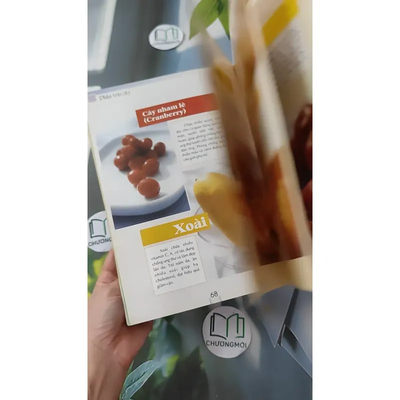 Sinh tố trái cây, rau quả làm đẹp - Dược Lan 1018807