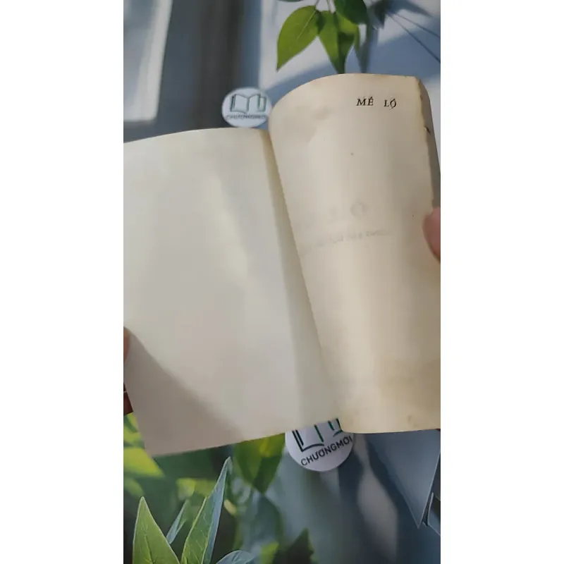 [MIỄN PHÍ BỌC SÁCH] [XƯA] Mê Lộ (1989) - Phạm Thị Hoài 997663