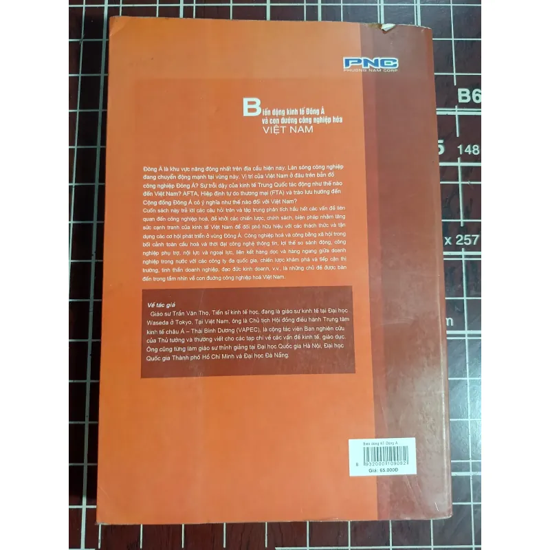 Biến động kinh tế Đông Á và con đường công nghiệp hóa Việt Nam - Trần Văn Thọ 754623