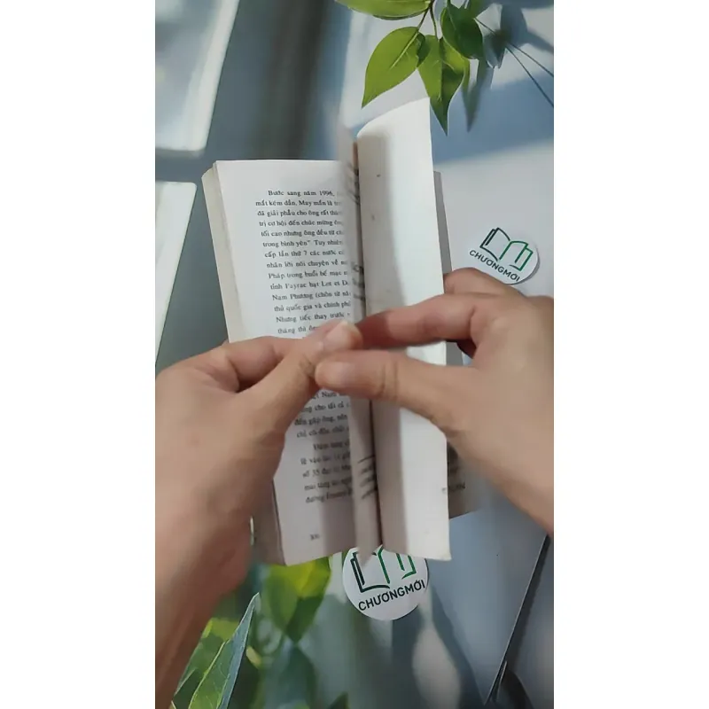 Các Triều Đại Việt Nam - Quỳnh Cư & Đỗ Đức Hùng 970263