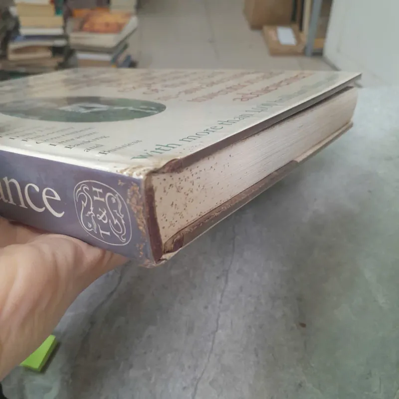 THE PANORAMA OF THE RENAISSANCE  - THAMES  AND HUDSON 557809