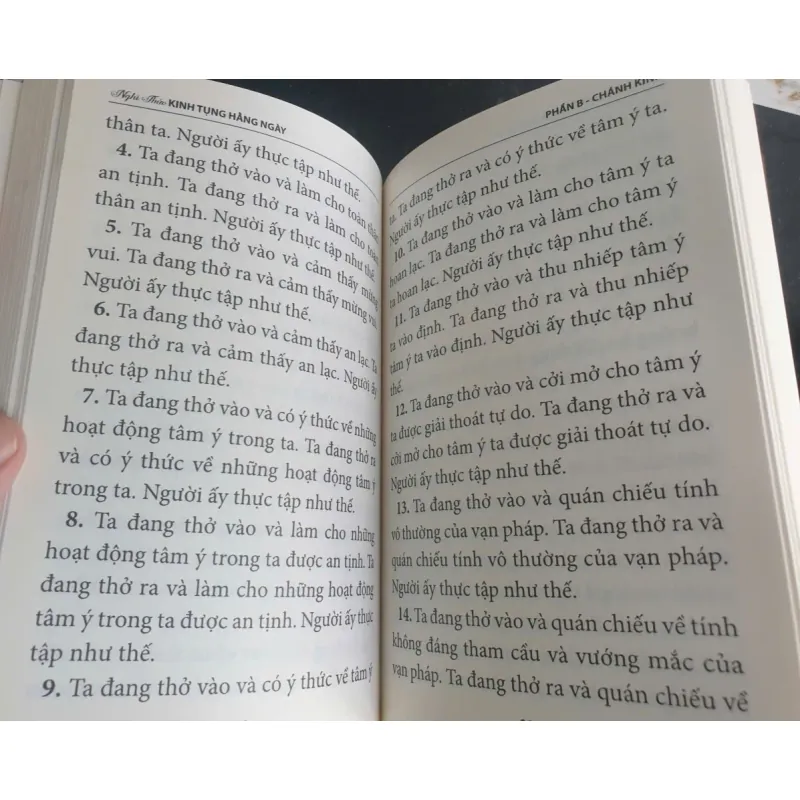 Nghi Thức Kinh Tụng Hàng Ngày - Thích Phước Tiến mới 90% 697558