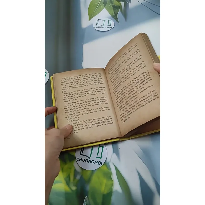 [MIỄN PHÍ BỌC SÁCH] La Petite Fadette - George Sand 749583