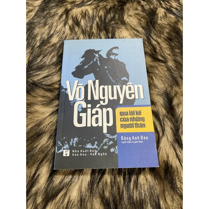 Võ Nguyên Giáp 594213