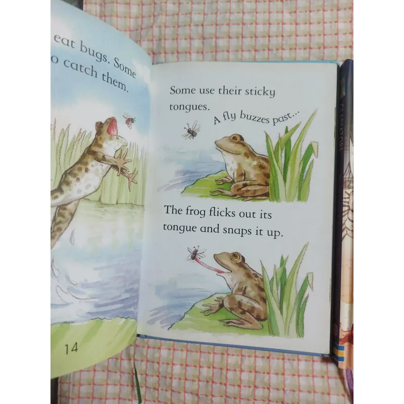 COMBO USBORNE YOUNG READING: FROGS – GLADIATORS – THE STORY OF FOOTBALL – HANSEL & GRETEL 961690