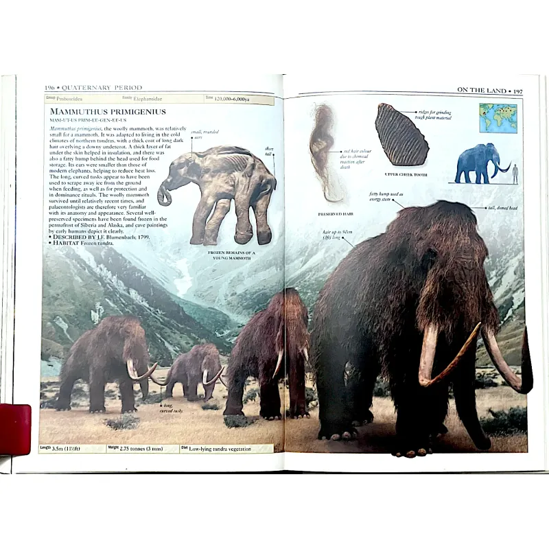DINOSAURS AND PREHISTORIC LIFE- Tác giả HAZEL RICHARSON 1042891
