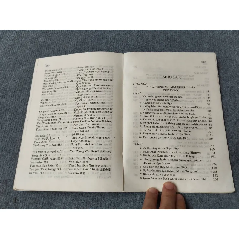 THIỀN LUẬN QUYỂN TRUNG - DAISETZTEITARO SUZUKI 729302