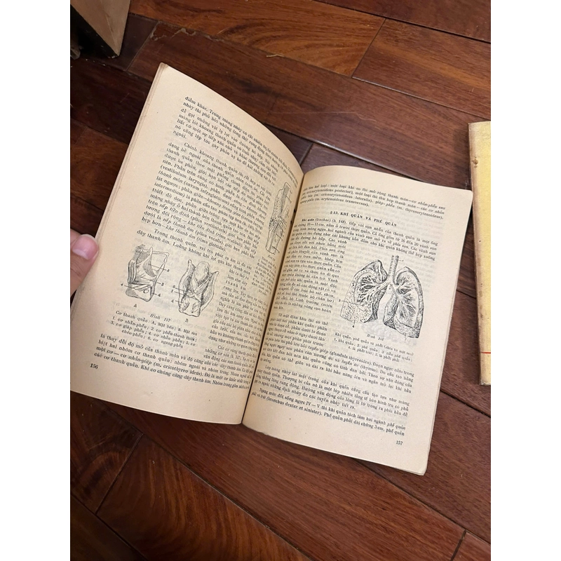 Giải phẫu người (trọn bộ 2 tập) 551684