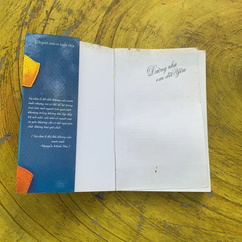 DƯỜNG NHƯ EM ĐÃ YÊU- tập truyện ngắn  785140