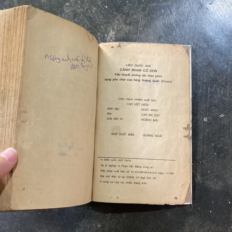 Cánh nhạn cô đơn 1029936