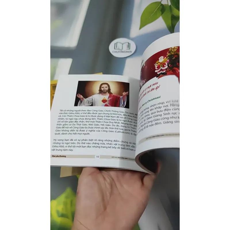 Combo: Kinh Thánh Thật Sự Dạy Gì, Đạo Yêu Thương 727295